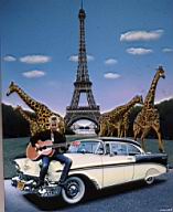 girafes 1988 - 15.JPG