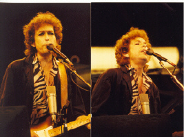 wemblay 84 2